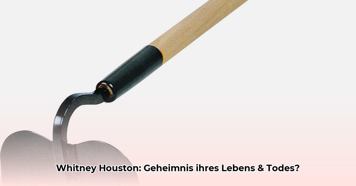 hoe-oud-is-whitney-houston-geworden